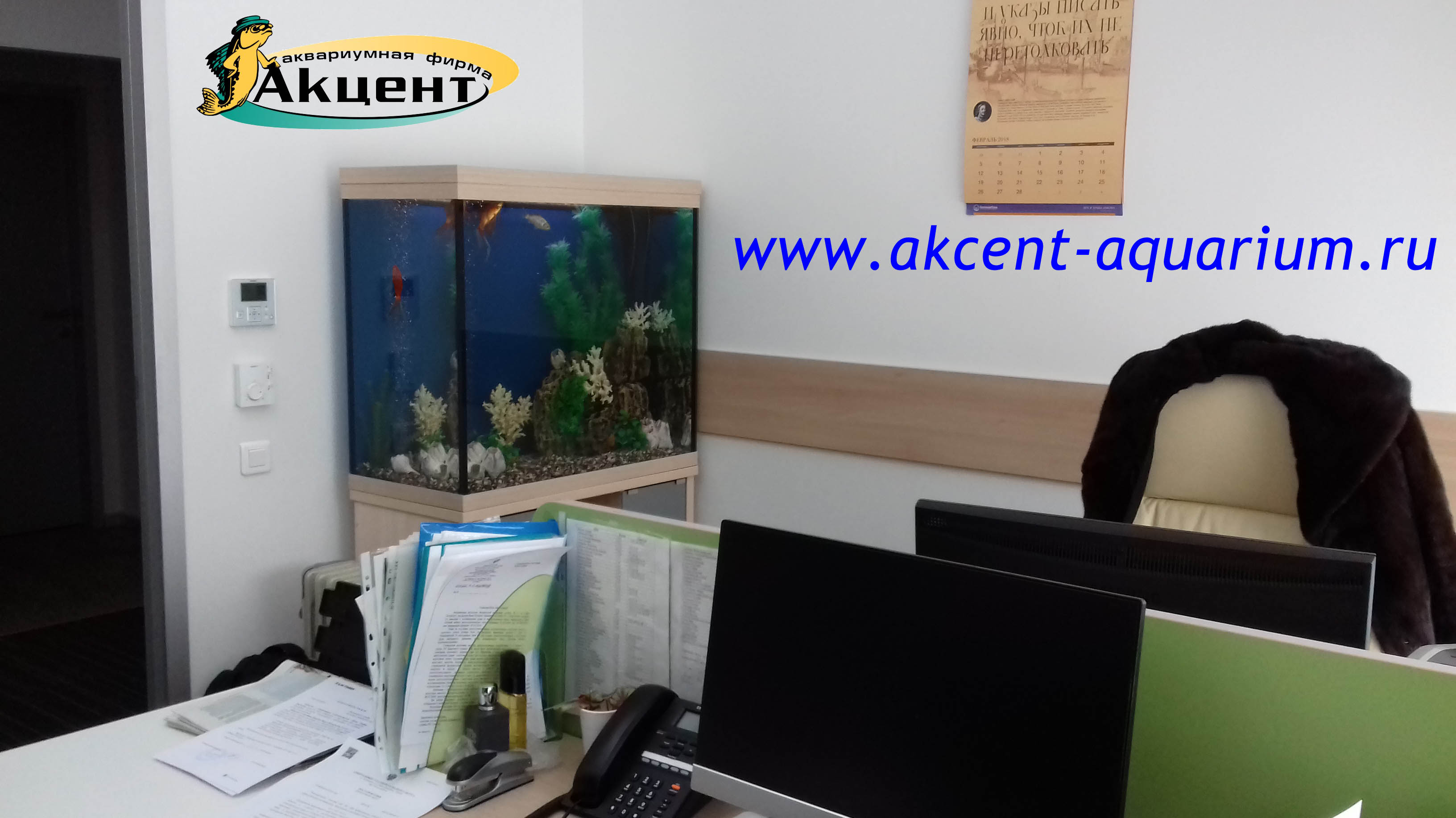 Акцент-аквариум аквариум 300 литров,офис